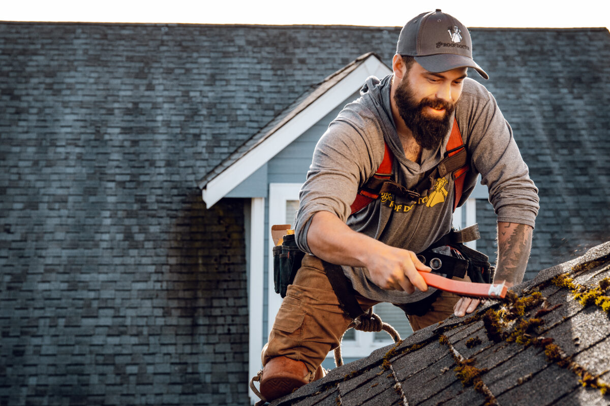 Why Moss Grows on Washington Roofs and How To Stop It